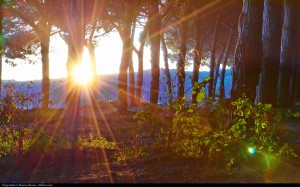 Photo Credit: Moyen Brenn https://www.flickr.com/photos/aigle_dore/ Creative Commons License: https://creativecommons.org/licenses/by/2.0/; daily devotional