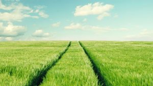 devotional Jesus will lead us